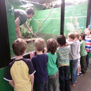 2186-crocodiles-of-the-world-1