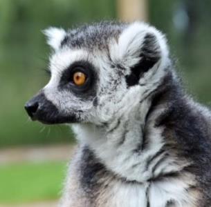 2209-all-things-wild-nature-2