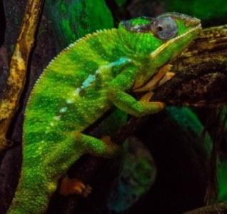 2209-all-things-wild-nature-3