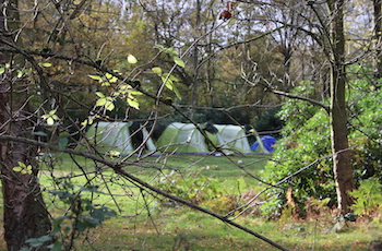 beaudesert-park-accommodation-1