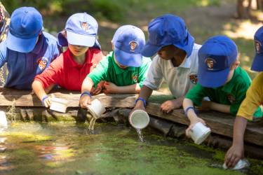 boys-pond-dipping-2