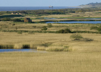 Minsmere RSPB Reserve, landscape showing East Hide in the distance and the sea beyond. May 2005
