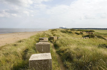 Minsmere RSPB Reserve, World War ll defences and dunes.