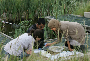 Secondary school pupils doing field teaching activities, teenagers doing water sampling / pond dipping, Rainham marshes RSPB reserve, London