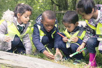 Children from a local school enjoying a bug hunting session, RSPB Conwy Nature Reserve, North Wales, June