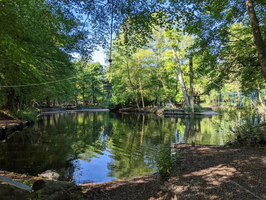 woodlands adventure image 2 listing 2024