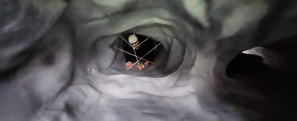 woodlands adventure image 3