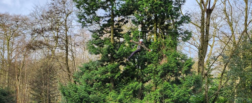 woodlands adventure image 4