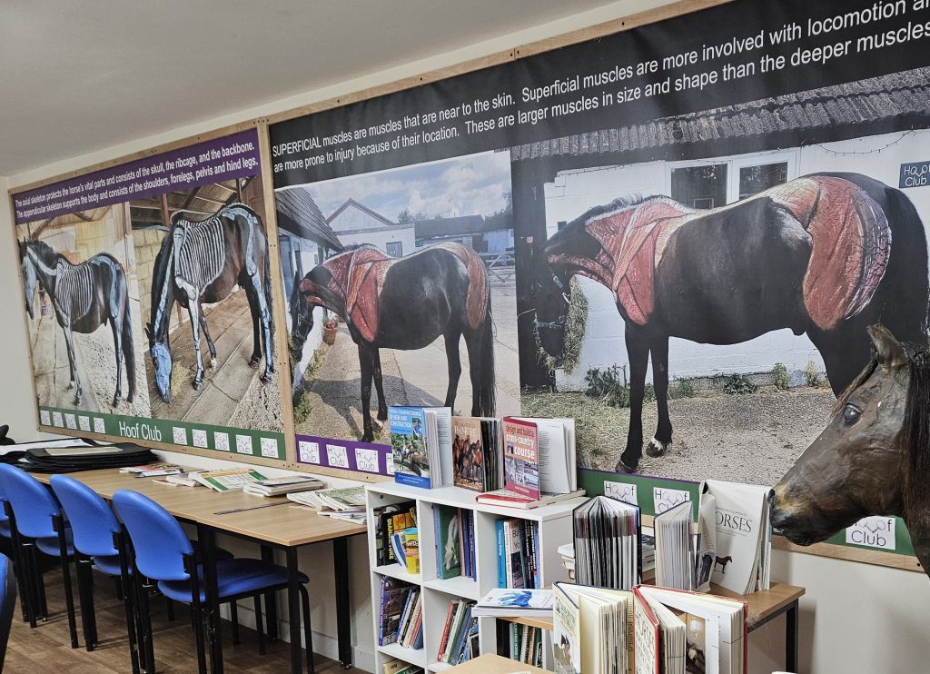 rein listing image 3