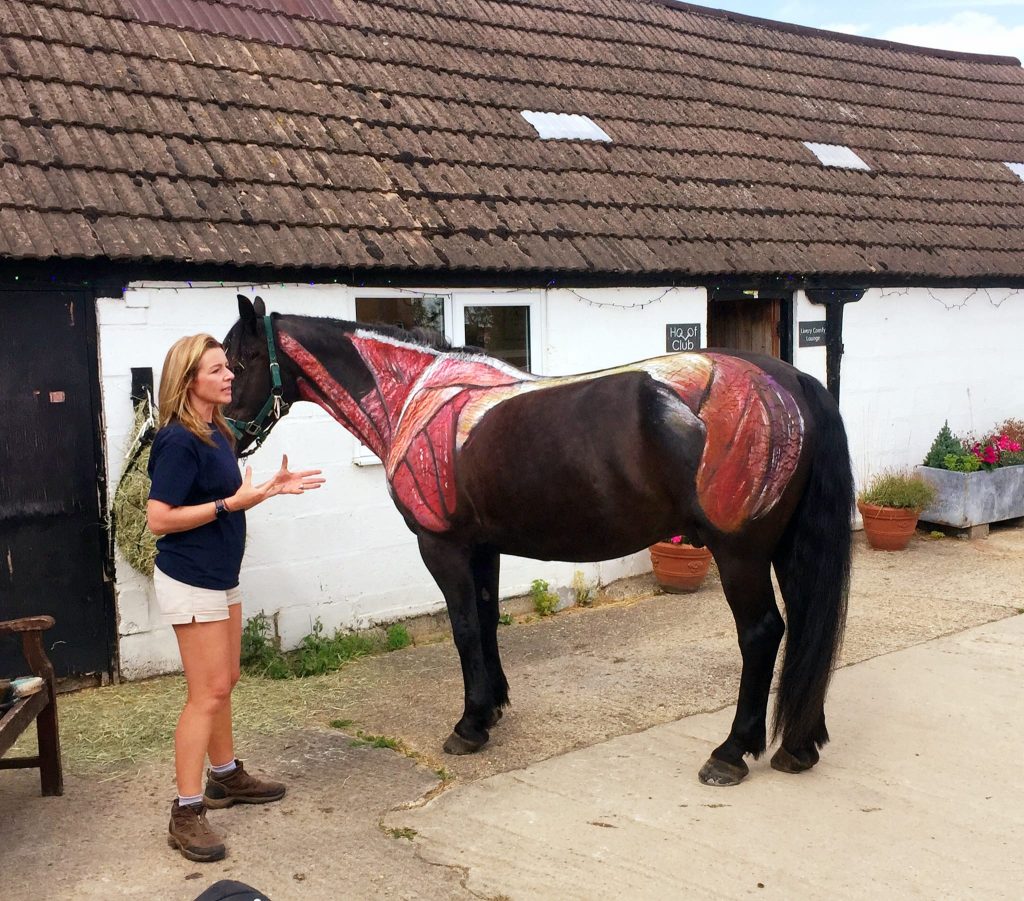 rein listing image 4